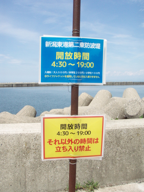 b0121015_15191636.jpg