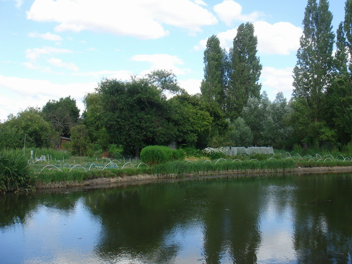c0124619_4334763.jpg