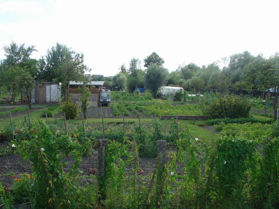 c0124619_4441650.jpg