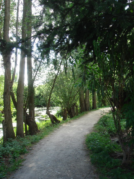 c0124619_4563092.jpg