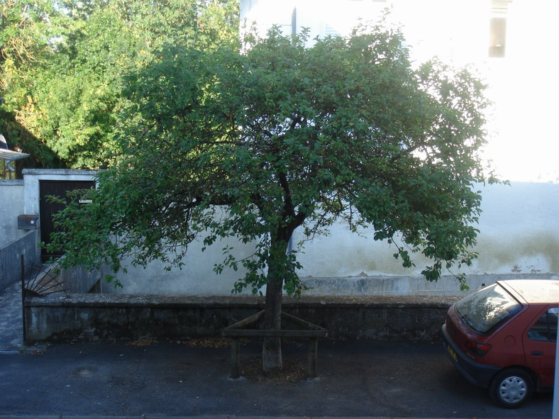 c0124619_535531.jpg