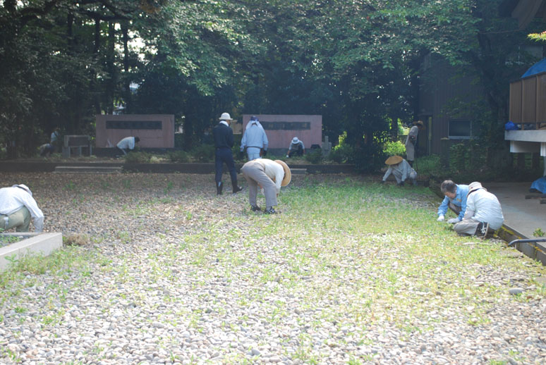 境内清掃_f0067122_15551250.jpg