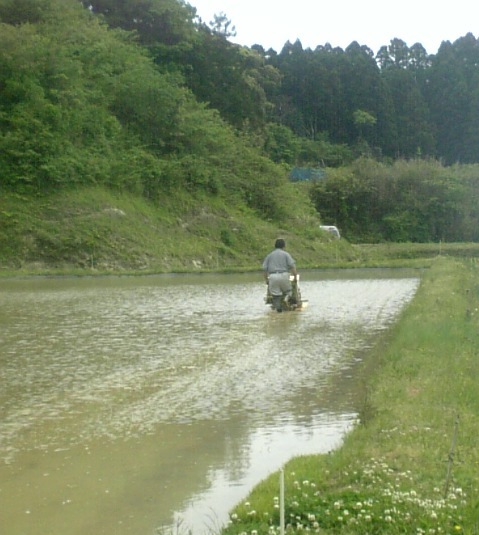 d0233324_4284829.jpg