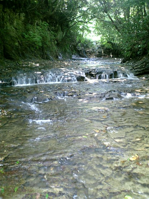 d0233324_429265.jpg