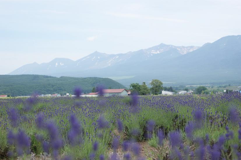 2011年7月　北海道旅行記　その3_c0150825_22451992.jpg