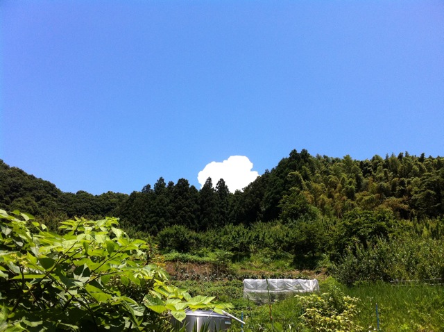 d0075828_19111071.jpg