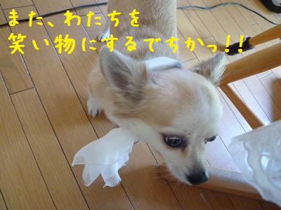 b0138430_2034282.jpg