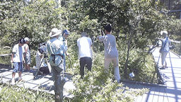 f0161535_054399.jpg