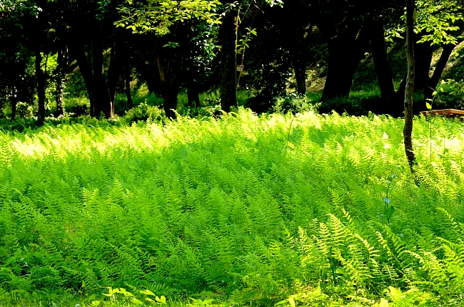 e0055138_15452794.jpg