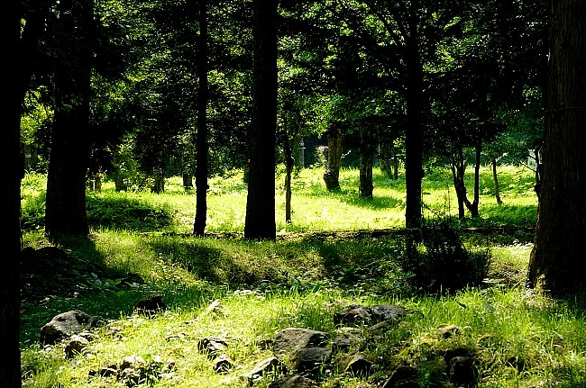 e0055138_164047.jpg
