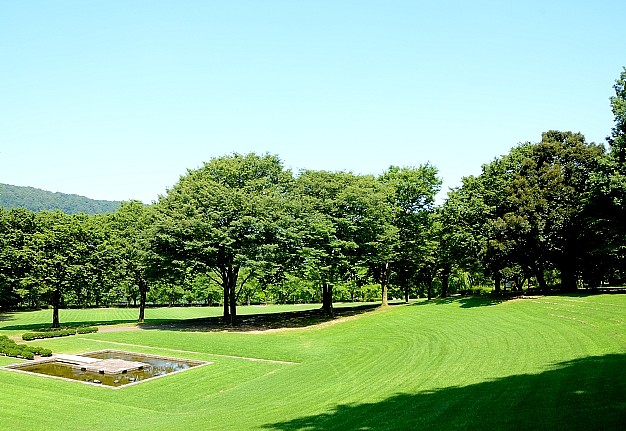 e0055138_169156.jpg