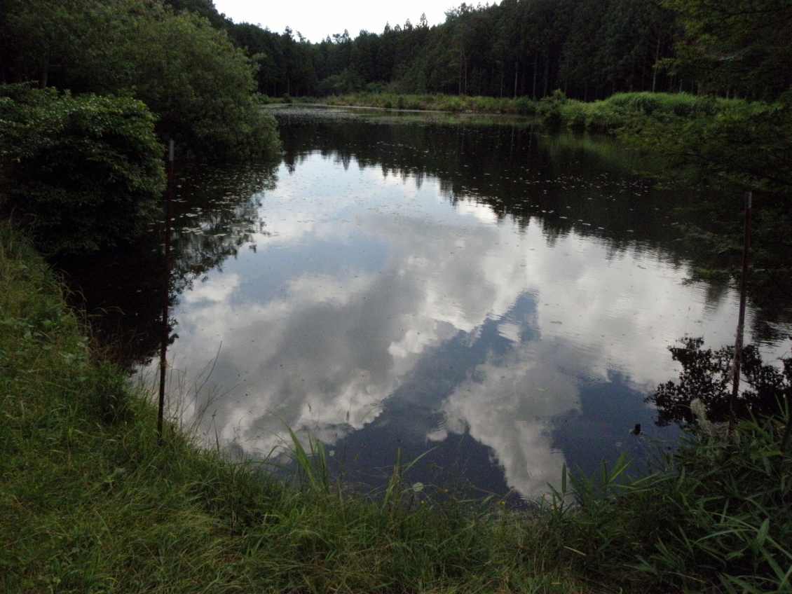 c0172139_2324562.jpg