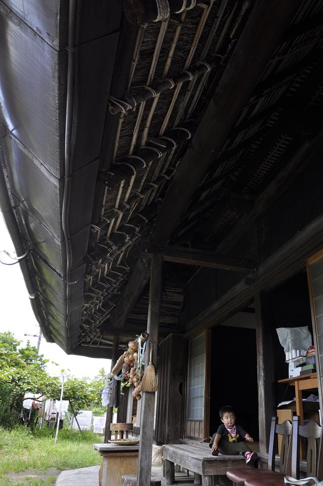 e0060542_27577.jpg