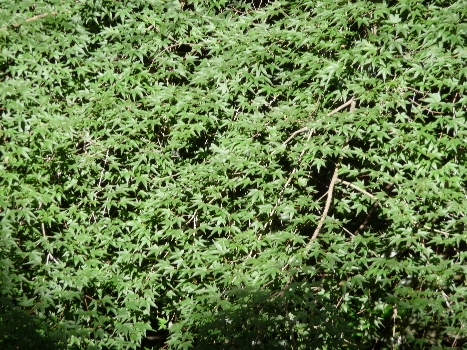 b0217643_22322217.jpg