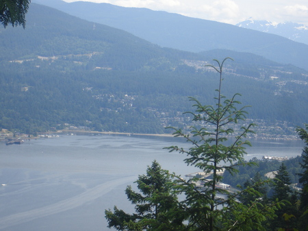 a0025444_882452.jpg