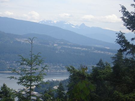 a0025444_894064.jpg