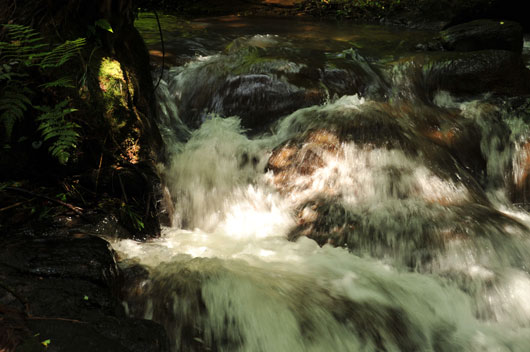 c0093046_2121137.jpg
