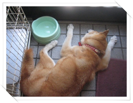 そしてついに_c0049950_119443.jpg