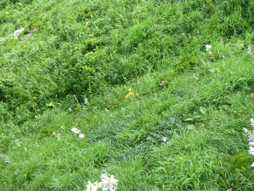 d0231858_20235754.jpg