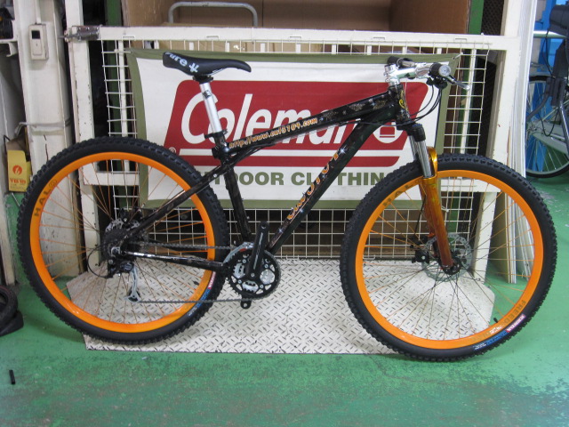 GT KARAKORAMU カスタムペイント_e0188759_10344868.jpg