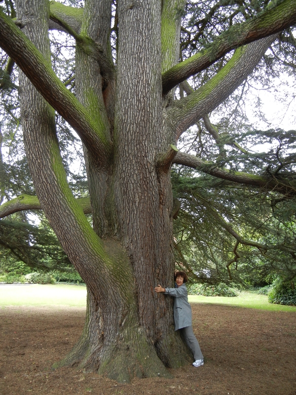 7月11日(月)イギリス旅行⑤6月21日ストラトフォード・アポン・エイボン~チェスターへ_f0060461_917645.jpg