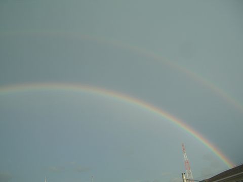 c0023165_19534667.jpg