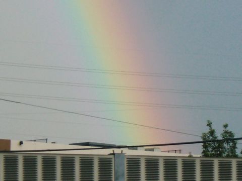 c0023165_19594416.jpg