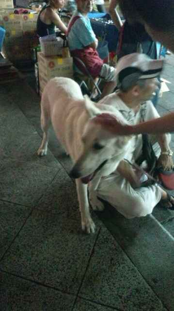 浅草寺にいた、あまりに大きすぎる犬_f0217768_221823.jpg