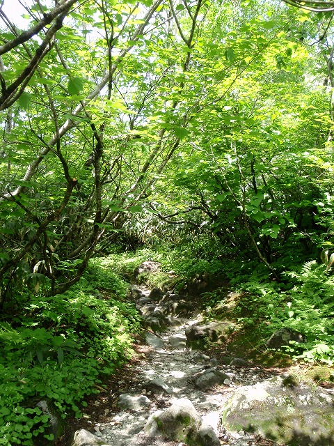 b0176770_2054234.jpg