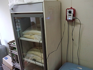 冷えない冷蔵庫の桧舞台_c0092877_128112.jpg