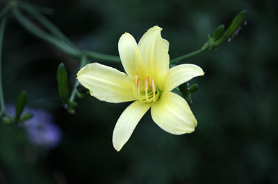 c0152779_1462628.jpg