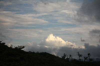 c0152779_147453.jpg