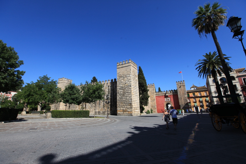c0187779_728454.jpg