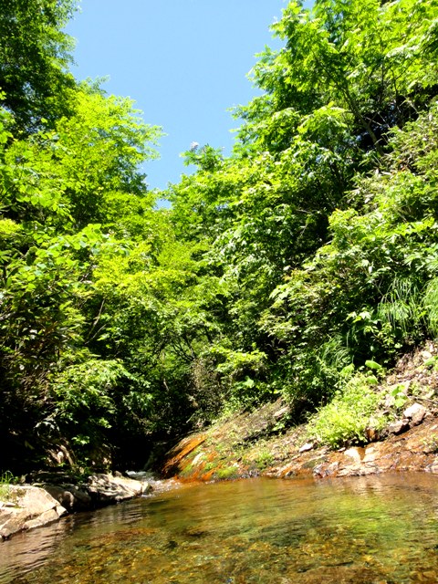 c0157482_20284917.jpg