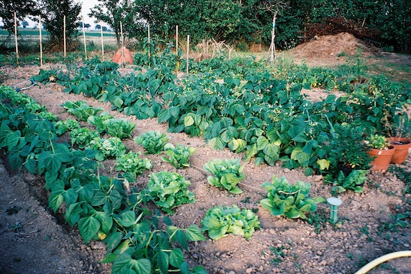 f0046982_15162025.jpg