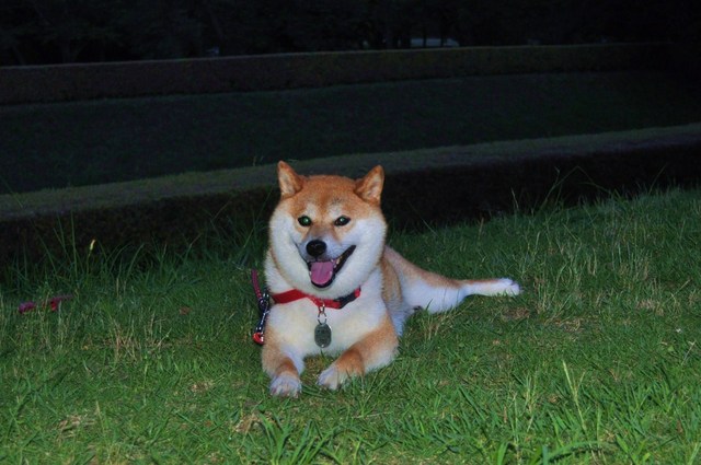 夕暮れ時のお楽しみ_a0126590_602792.jpg