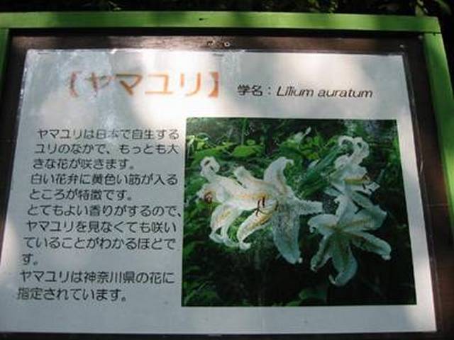 f0079990_9201372.jpg