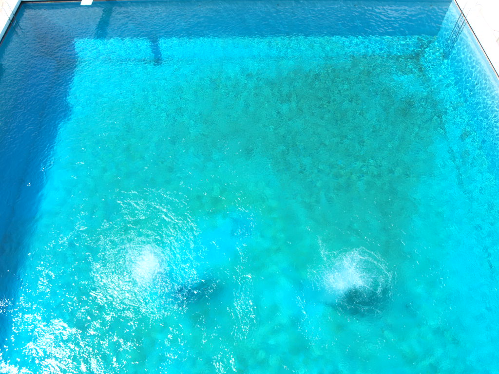 e0131095_22423213.jpg