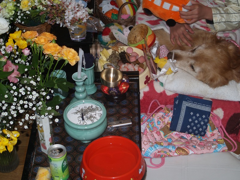 f0234395_1563358.jpg
