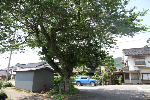 e0188897_003687.jpg