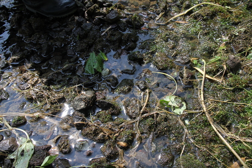 e0188897_093916.jpg