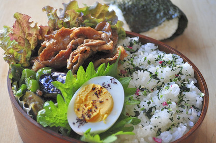 焼肉とナス、ピーマンの肉味噌炒めのお弁当_b0171098_8582838.jpg