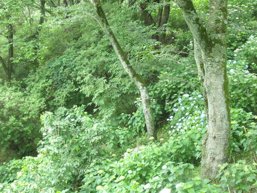 b0207698_10163570.jpg