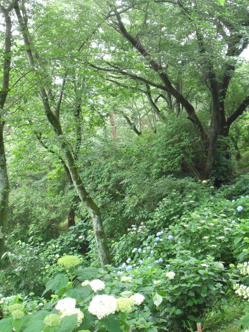 b0207698_10185565.jpg