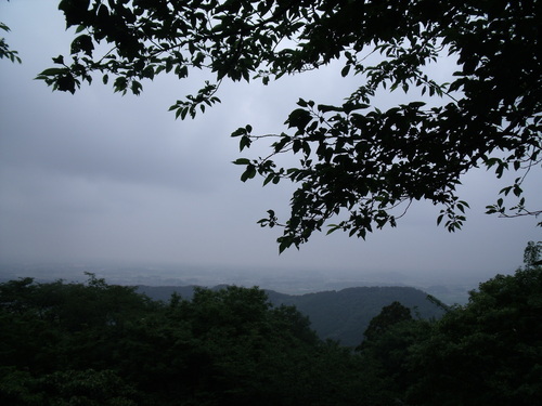 b0207698_10201184.jpg