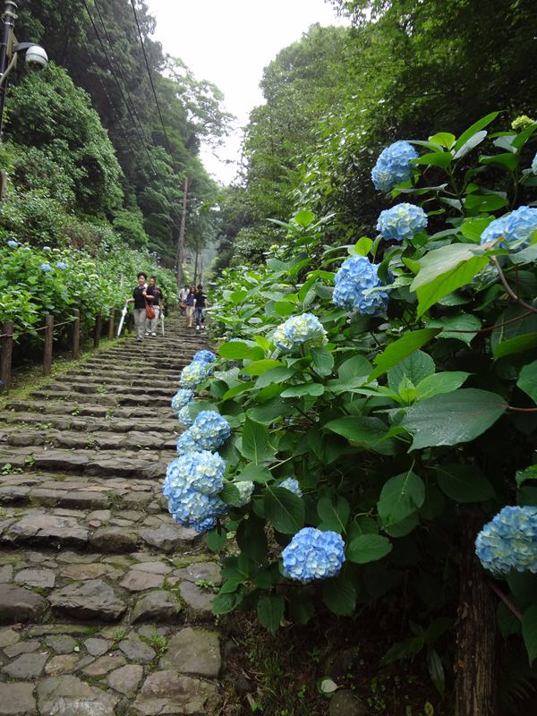 b0207698_10365829.jpg