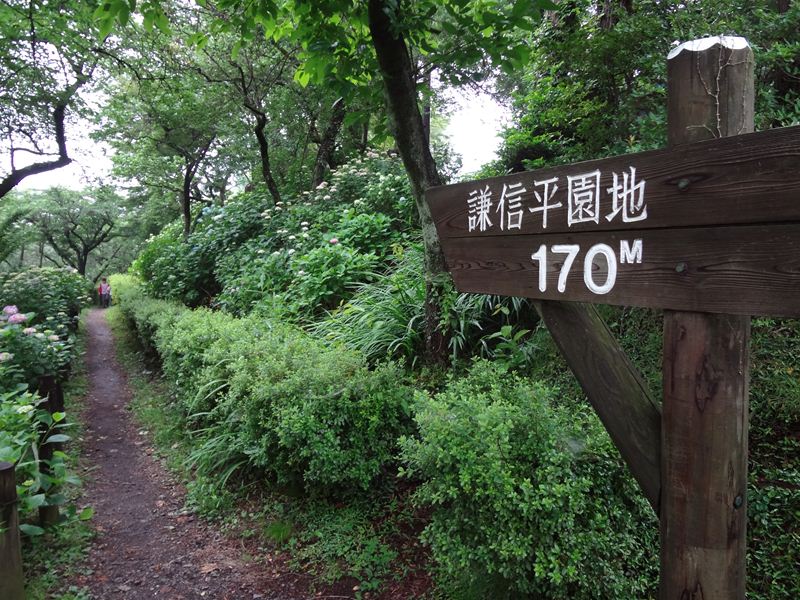b0207698_10443321.jpg