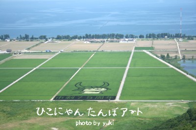 f0062803_177913.jpg
