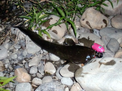 c0023804_10545314.jpg