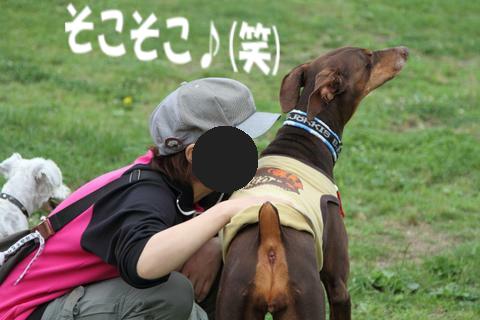 e0100007_21543573.jpg